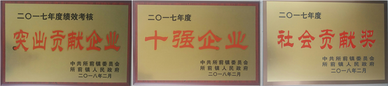 新光公司再获所前镇“突出企业贡献奖”等多项荣誉