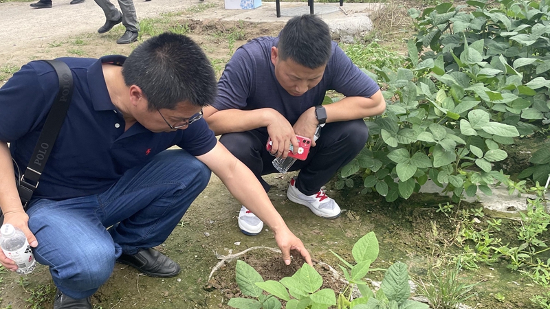 新光公司赴宁波参加全生物降解地膜替代技术交流会